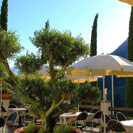 Готель Hanny 3*